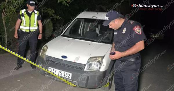 «Ford Transit»-ը վրաերթի է ենթարկել անչափահաս քույր ու եղբոր