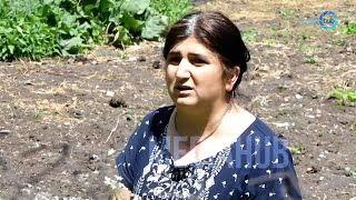 Մեր թատրոնի տնoրենի մшրմինն են փնտրում, մnր մшրմինը հանեցին․ ճամբարակցի