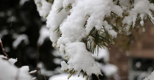 Սպասվում է ձյուն  