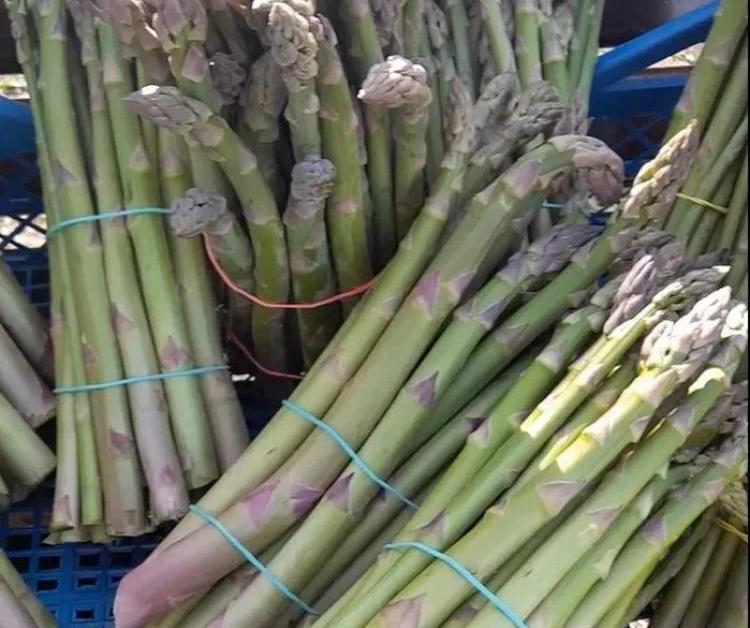 Ամառային այս 3 մթերքները թարմացնում են լյարդը և պաշտպանում քաղցկեղից, սակայն քչերը գիտեն այդ մասին