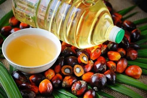 Пальмовое масло — вред или польза?
