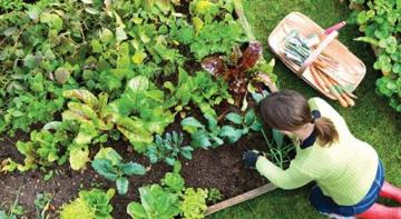 Исследователя находят, что садоводство – это естественный антидепрессант
