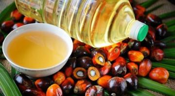 Пальмовое масло — вред или польза?